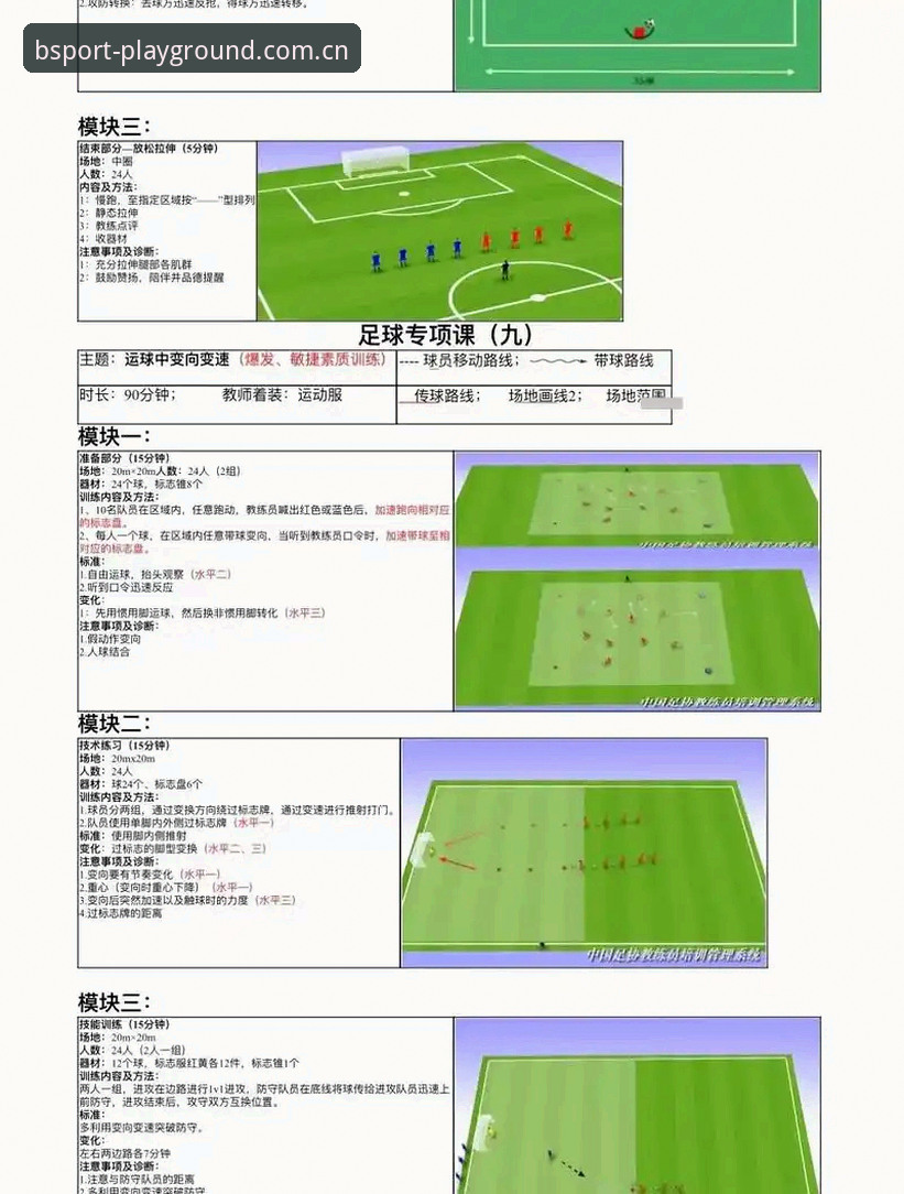 BSport体育游戏实用指南：从入门到精通的必备知识
